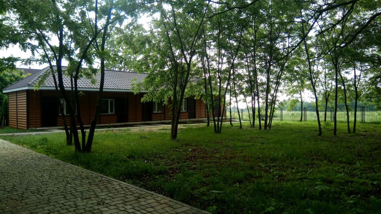 Отель "Лагита" Sergeyevka Bagian luar foto